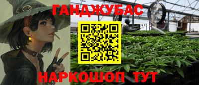 СК Бийск
