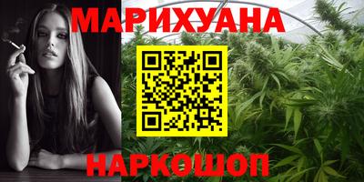 СК Бийск