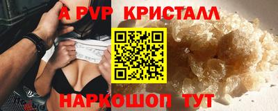 СК Бийск