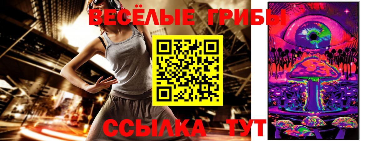 Жуковский  Псилоцибиновые грибы мицелий  Вход с VPN  Псилоцибиновые грибы ЛСД 