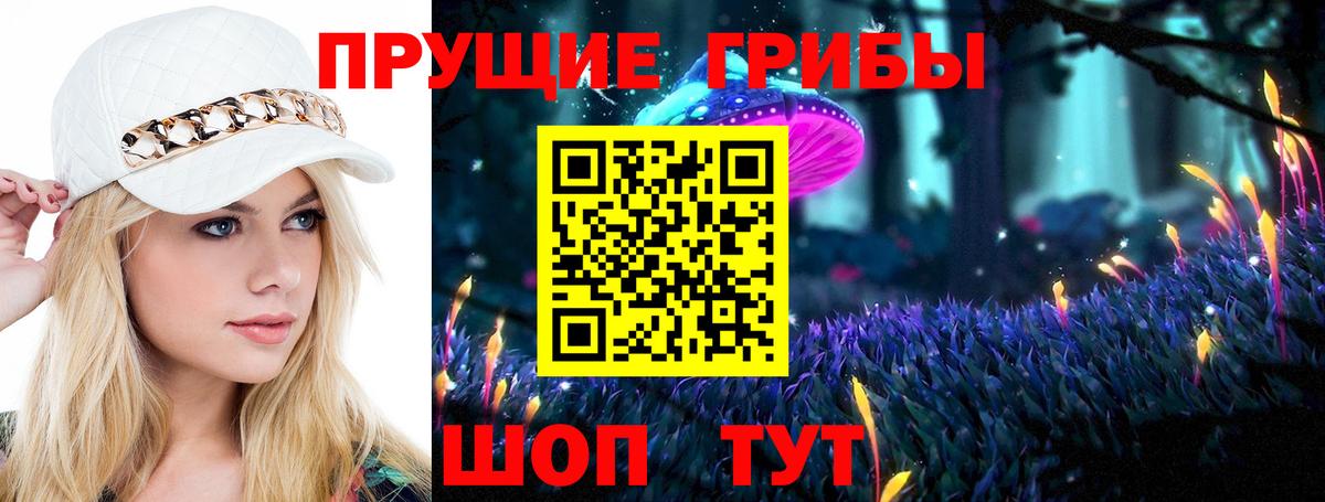Псилоцибиновые грибы Psilocybe Жуковский